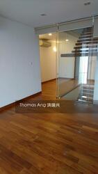 Hoover Park (D21), Terrace #313877051